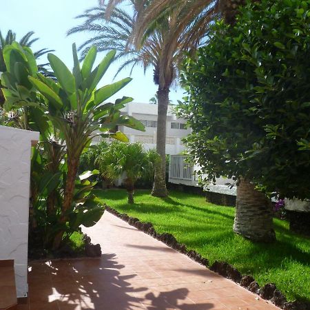 Elana Apartment With Free Wifi Costa Del Silencio Exterior foto